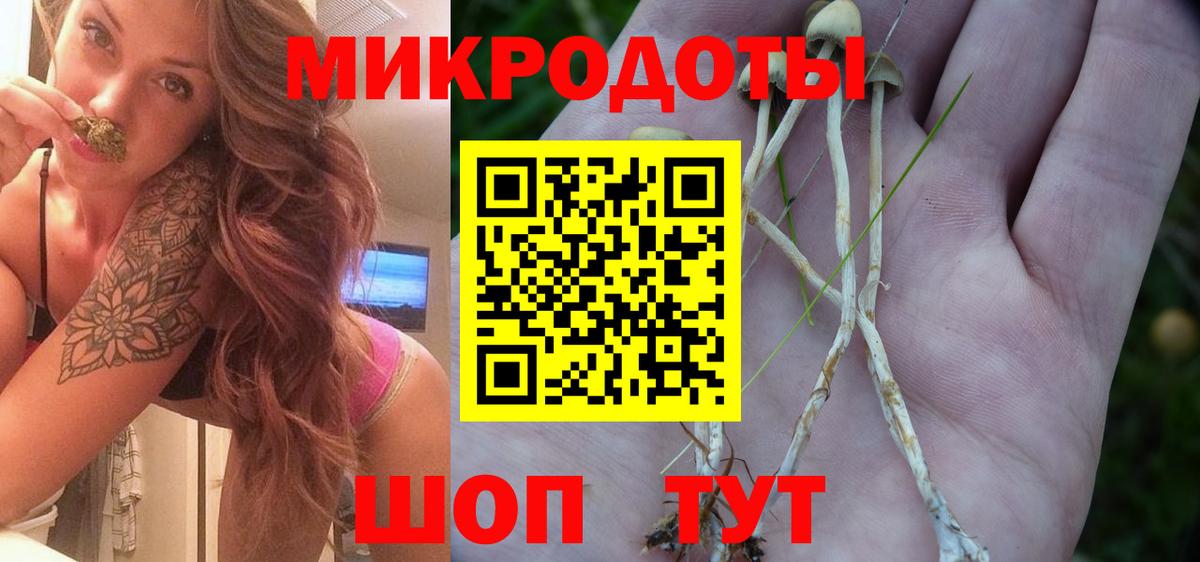 Псилоцибиновые грибы MAGIC MUSHROOMS Кашира