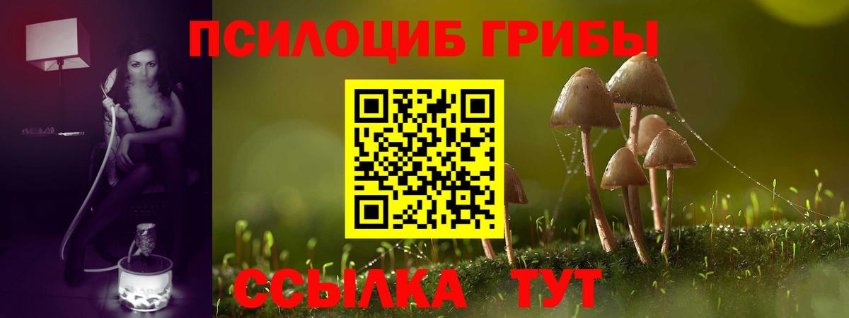 Псилоцибиновые грибы Magic Shrooms  цена наркотик  Кашира  Вход с VPN 